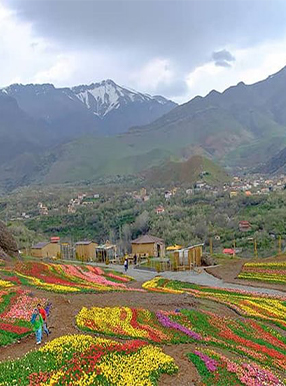 دشت لاله کندر