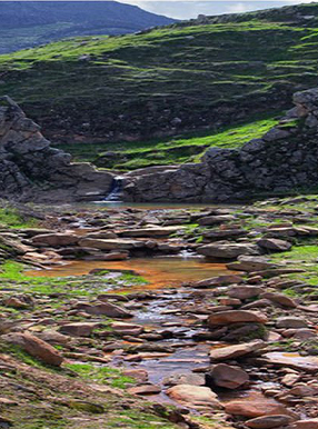 آبشار شقایق دزفول