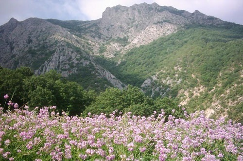 روستای دشت | یوتراوز