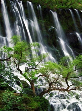 آبشار شوی