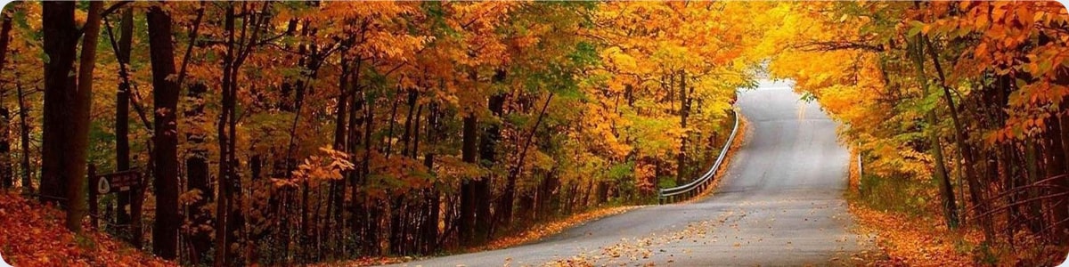 هتل‌ های گرگان