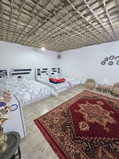 Aref-Qeshm_62132
