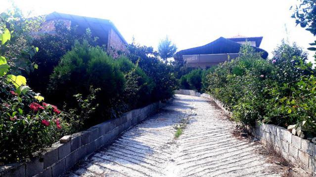 Hashemzade-Ghaemshahr_8533