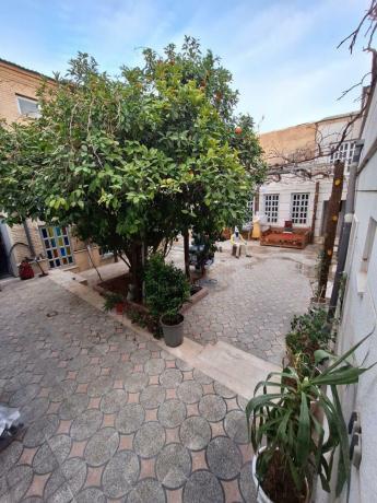 Iren-Shiraz_60636