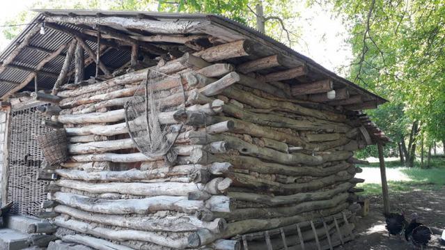 Pide-Noshahr_11176