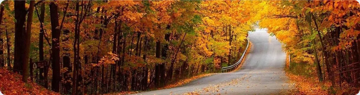 هتل های 4 ستاره گرگان