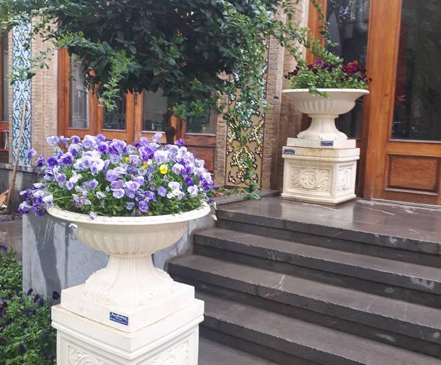 Aboreyhan-Shahinshahr_32234