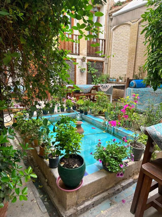 Ana-Shiraz_41164