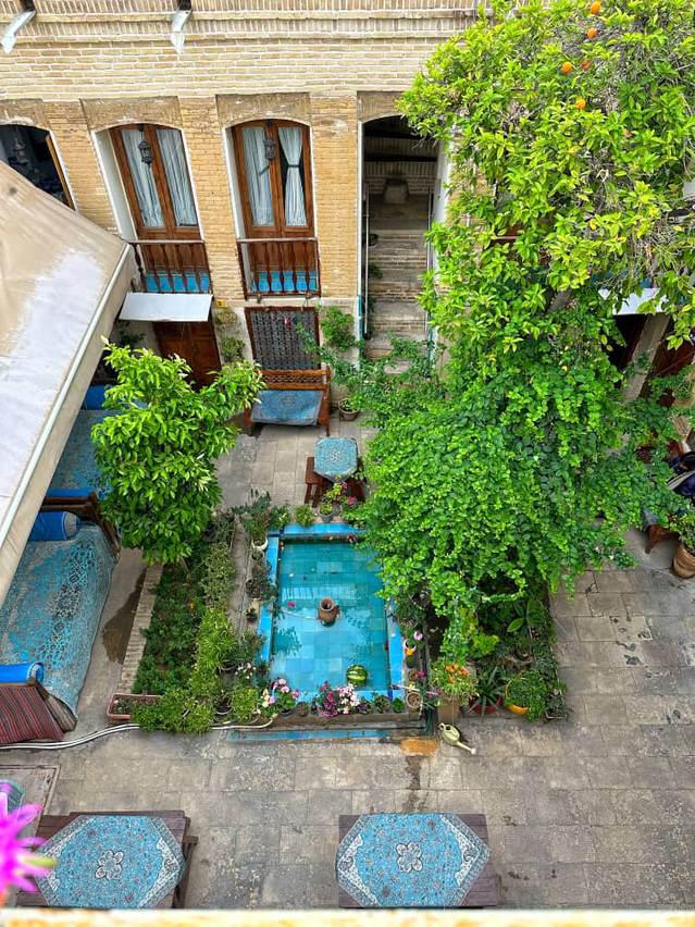 Ana-Shiraz_41161