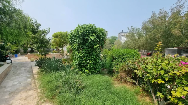 فضای سبز هتل آرامش کیش