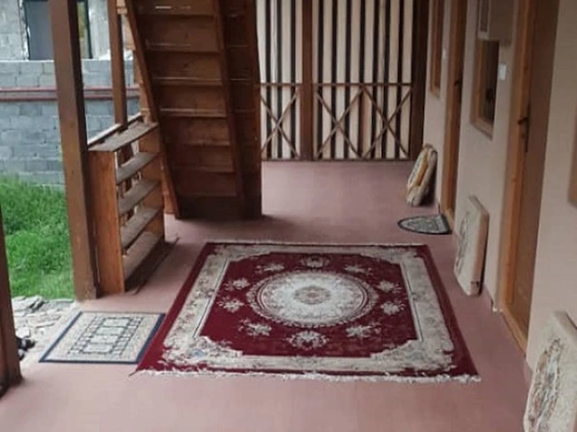 نما تراس جنگلی