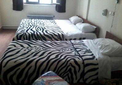 اتاق سه تخته