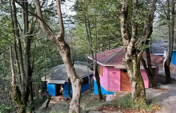 آماده‌سازی سواحل رامسر برای حضور گردشگران تابستانی