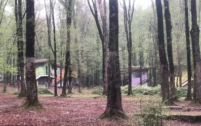 نمای محیط اقامتگاه بومگردی هیرکانو کردکوی