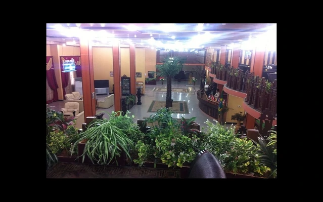 لابی هتل و به همراه گلدان و فضای ارام