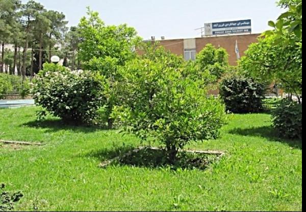 Jahangardi-Firouzabad_31649