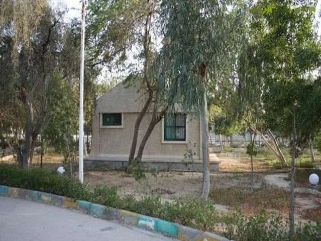 نمای روز