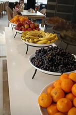 Makaremolabbas-Karbala_73260