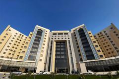 Nassim-Najaf_67548