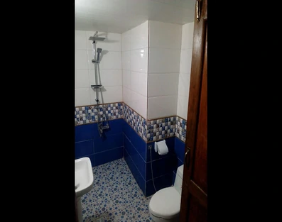 توالت فرنگی