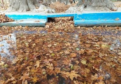 PahlebanpourGarden-Mehriz_12596