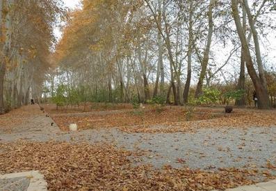 PahlebanpourGarden-Mehriz_12595