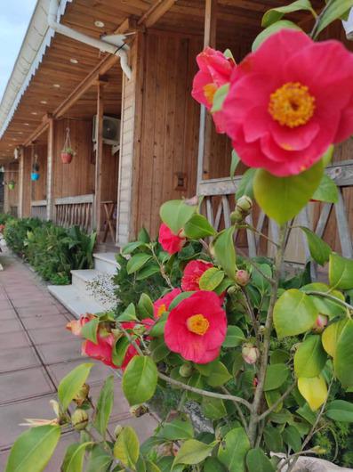 Pesaraneaftab-Kiashahr_43901