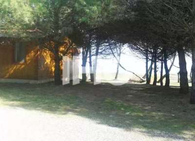 Qoroq-Talesh_52031