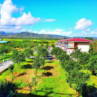 Savadkuh-Kimehecolodge_34862
