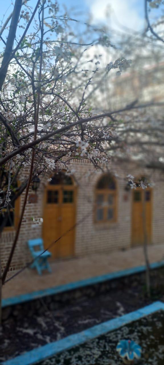 Shadmehr-Neyshabur_26552
