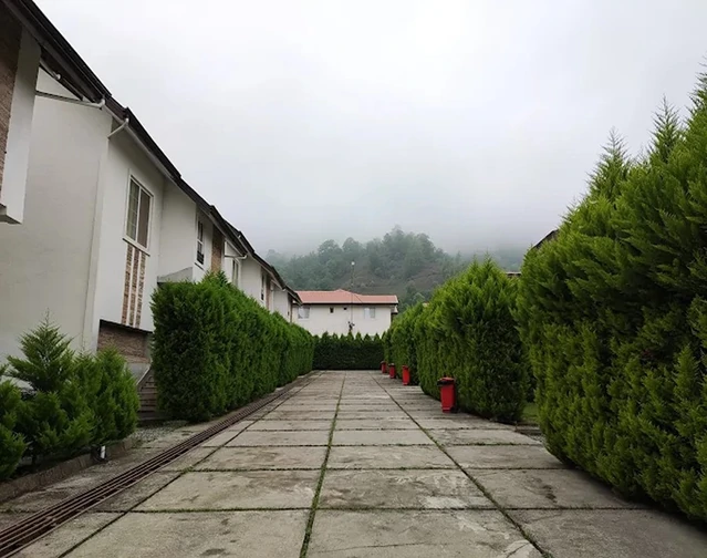 حیاط و جنگل