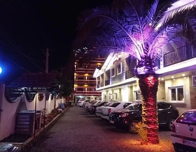 نما با لامپ و نخل