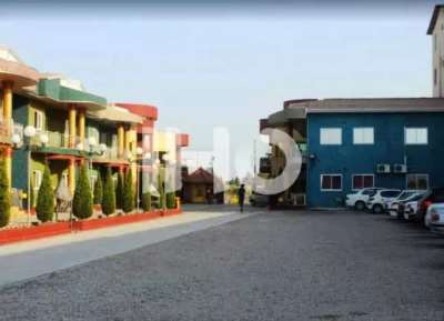 shafagh_48162