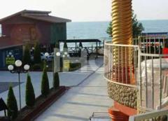 shafagh_48160