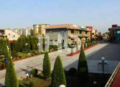 shafagh_48161