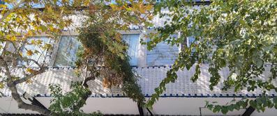 ShahryarNovin-Tehran_34476