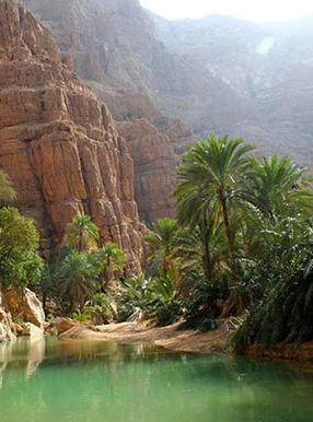 وادی شاب