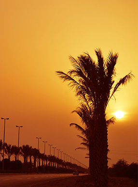 بندر گناوه