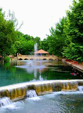 باغ مطالعات گیاه شناسی سلیمانیه