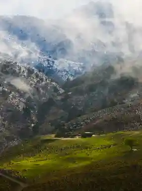 جنگل ابر شاهرود | یوتراوز