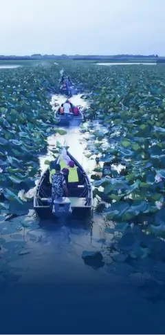 رزرو هتل بندر انزلی